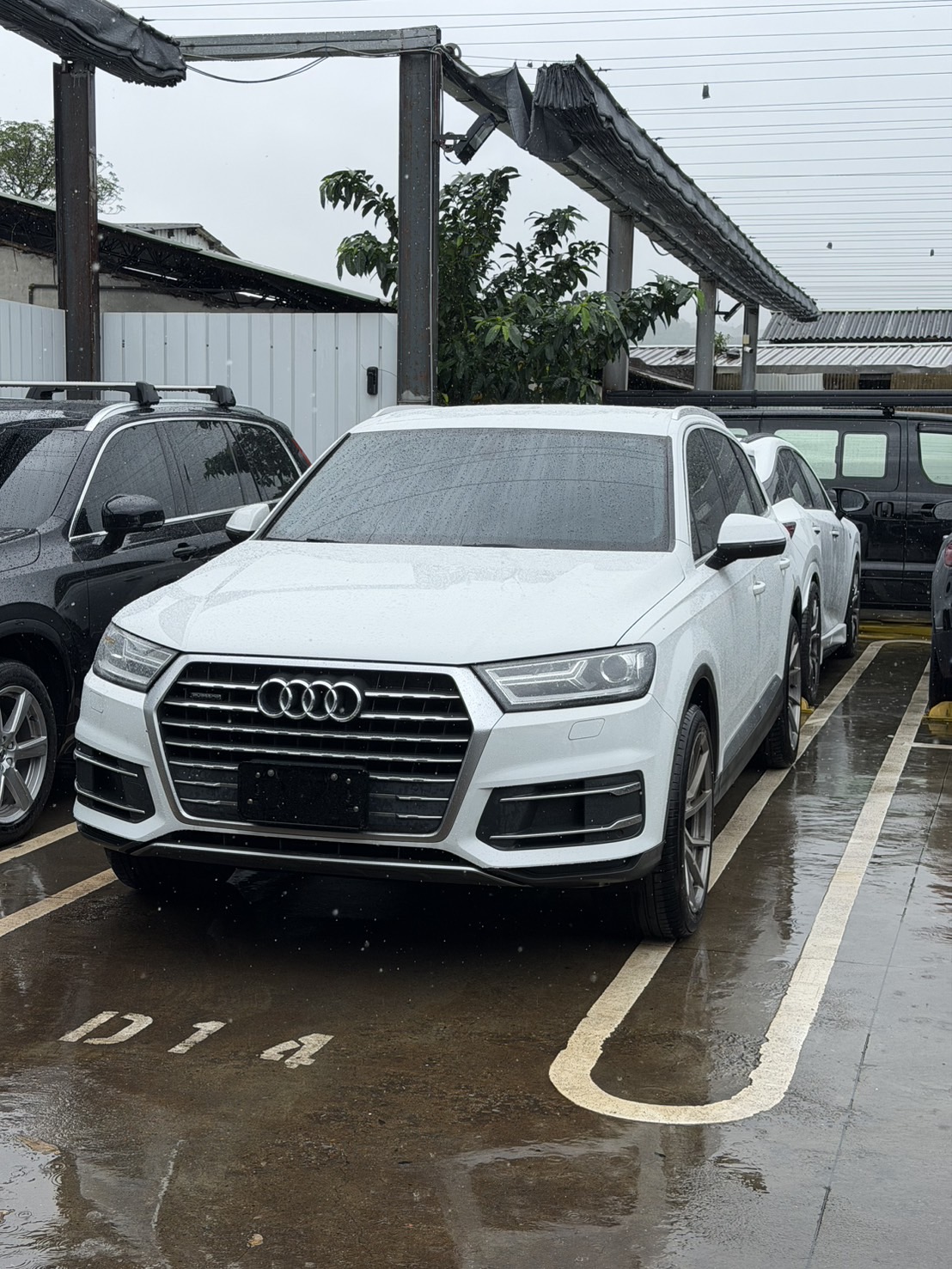 Q7